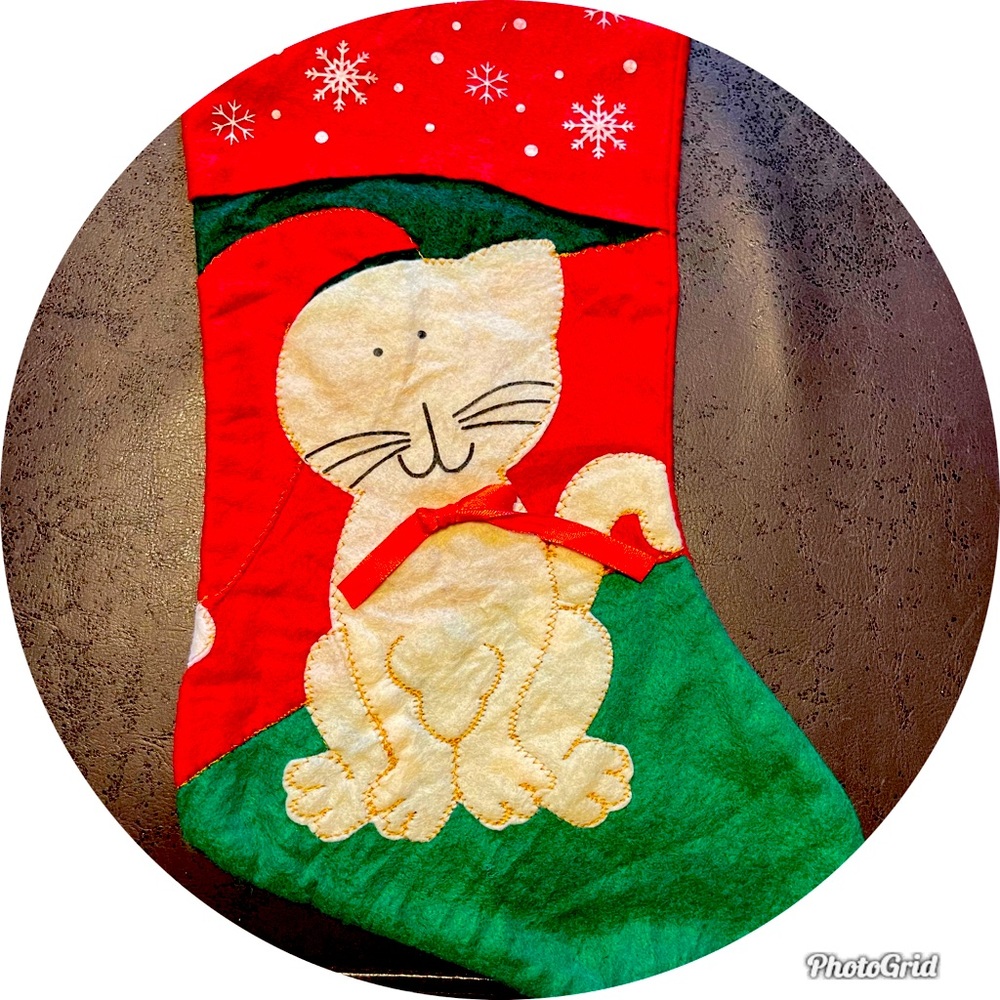 New Cat Stocking